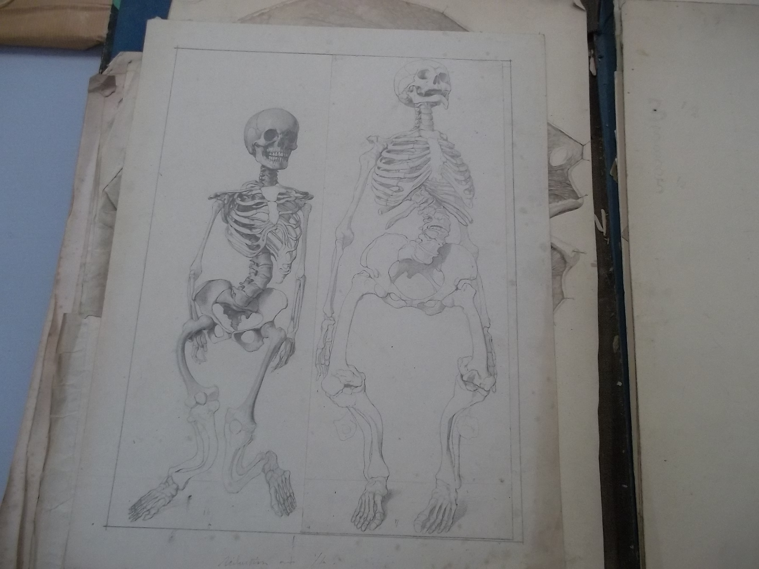 Dessin manuscrit d'un étudiant en médecine vers 1870 (issu d'une pochette de dessins conservée à la BU Santé de l'Université de Rouen Normandie)