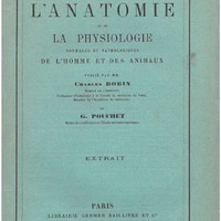 Contribution à l'étude du tapis chez les mammifères