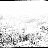 Paysage