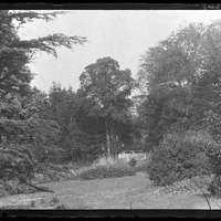 Jardin d'une propriété
