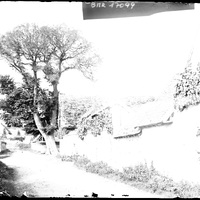 Arbre dans un village normand