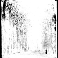 Allée menant à une propriété